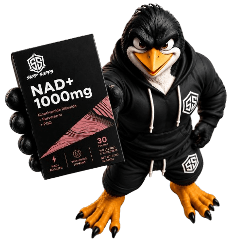 Surp Supps Hero Character and Splash